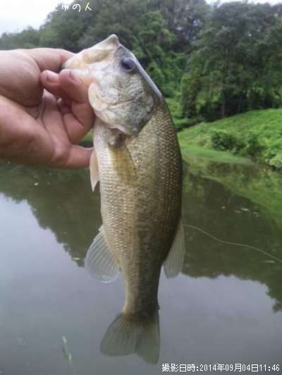 �֥�å��Х�