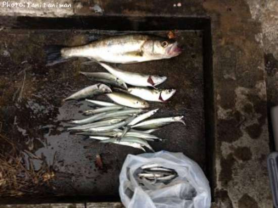 ����ꡢ�����Х������