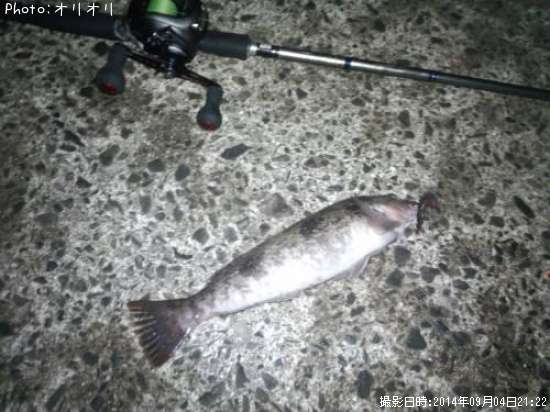 �����ʥ�