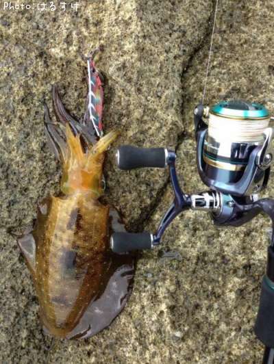 �����ꥤ��