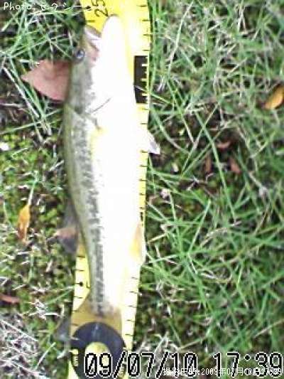 �֥�å��Х�