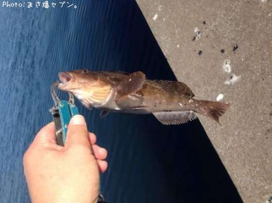 �����ʥ�