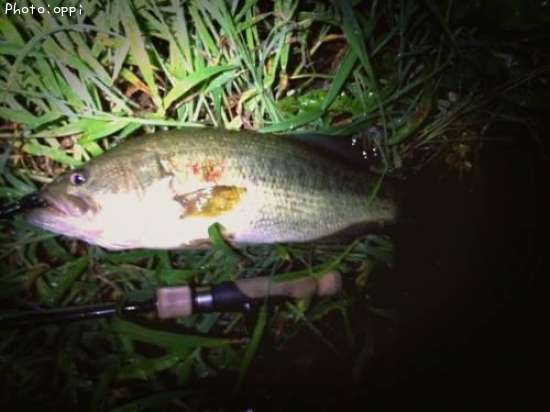 �֥�å��Х�