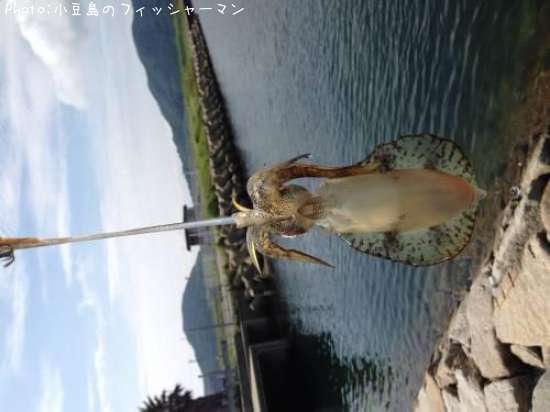 �����ꥤ��