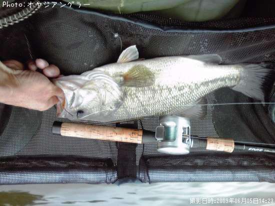 �֥�å��Х�