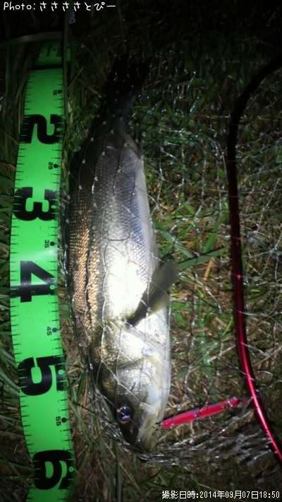 �����Х�