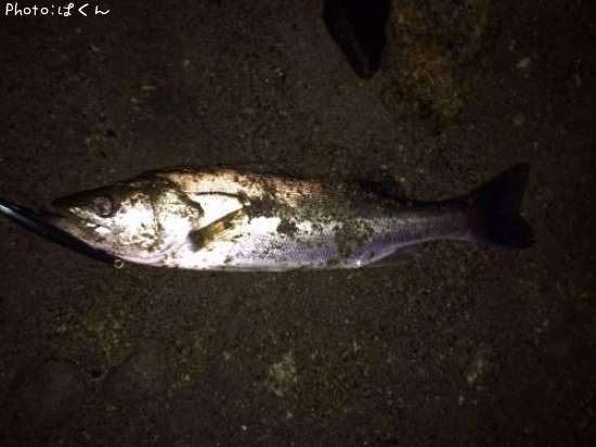 �����Х�