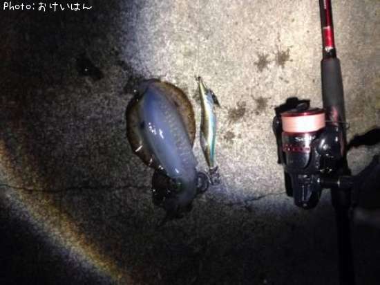 �����ꥤ��