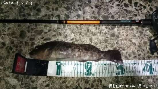 �����ʥ�