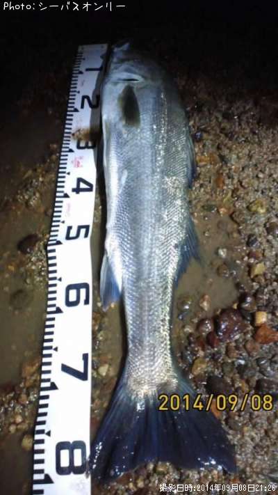 �����Х�