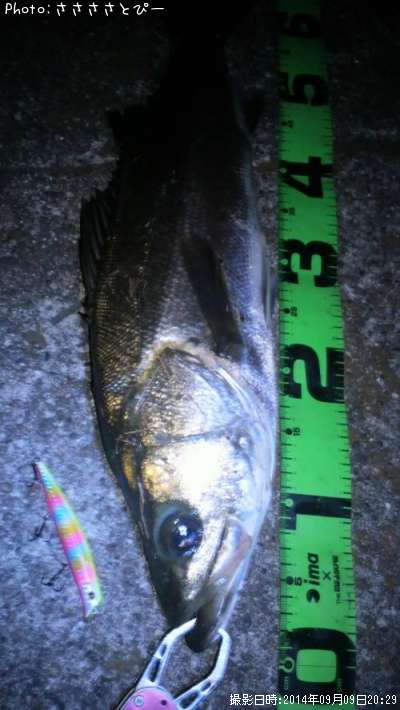 �����Х�