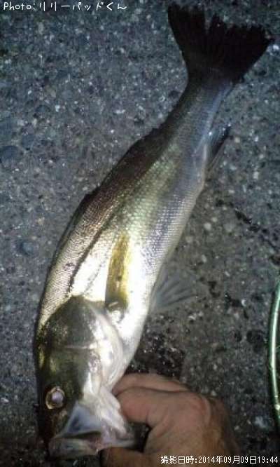 �����ڡ������һ�