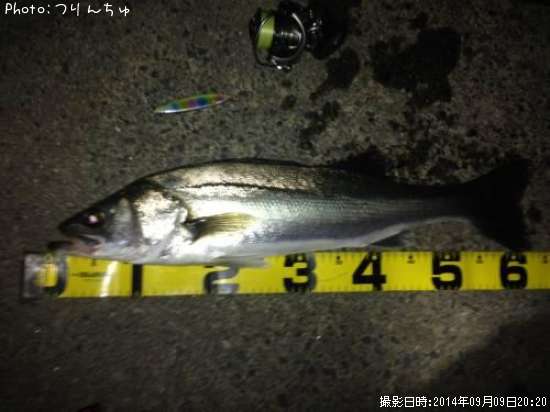 �����Х�