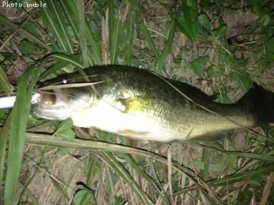 �֥�å��Х�