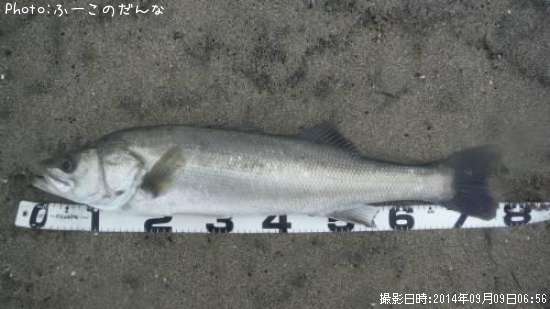 �����Х�