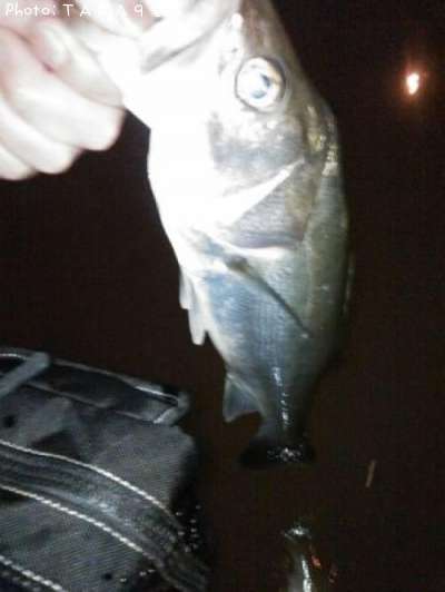 �����Х�