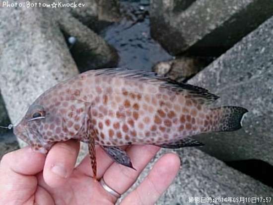 �������ϥ�