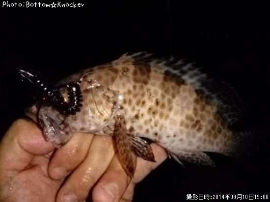 �������ϥ�