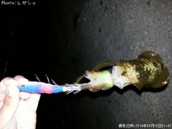 �����ꥤ��