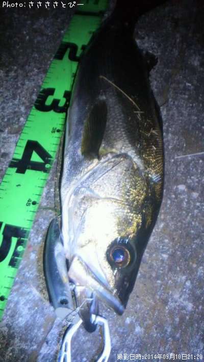 �����Х�