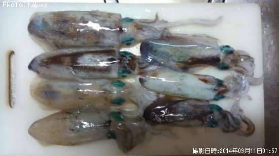 �����ꥤ��