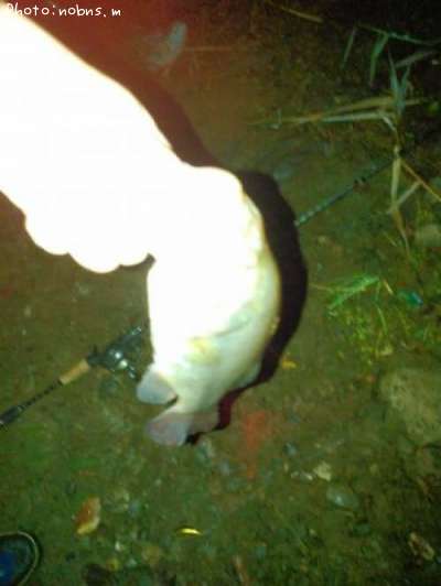 �֥�å��Х�