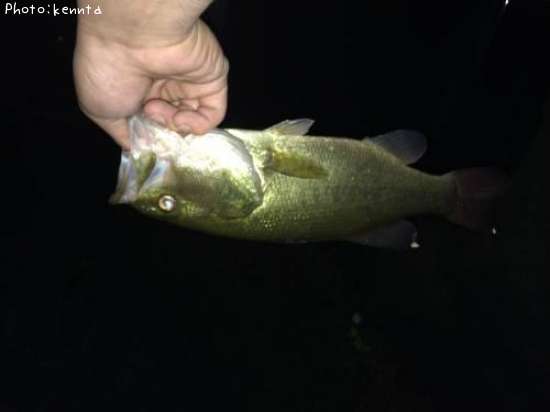 �֥�å��Х�