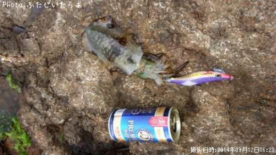 �����ꥤ��