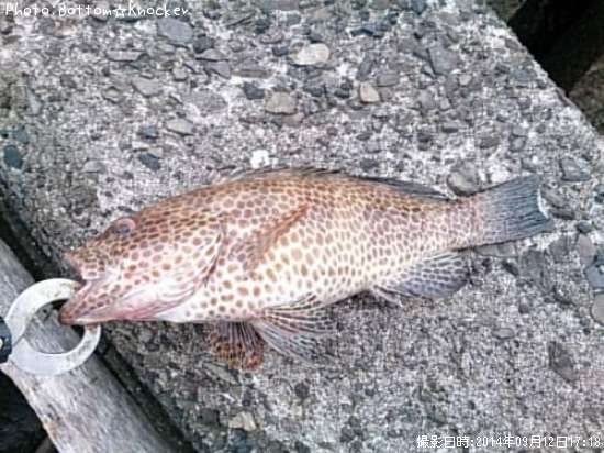 �������ϥ�