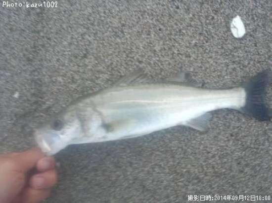 �����Х�