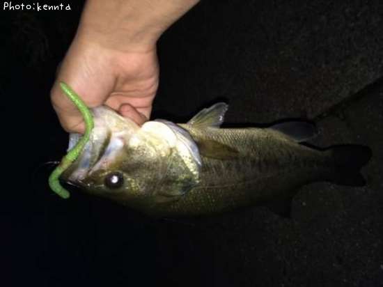 �֥�å��Х�