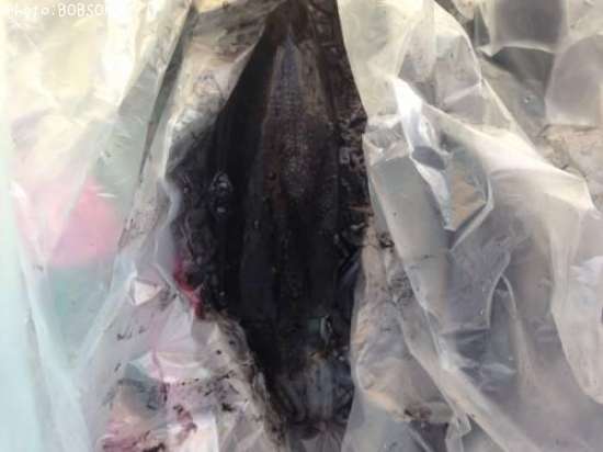 �����ꥤ��