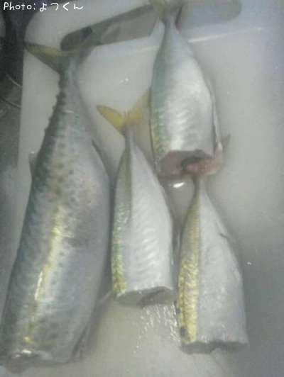 ���ޥ���