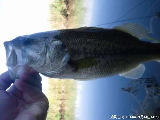 �֥�å��Х�