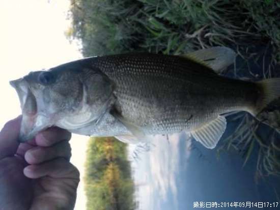 �֥�å��Х�