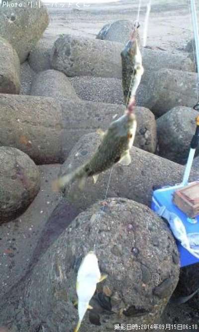 ������Ρ��ޡ��֥������ʣ⡰�ݡ���