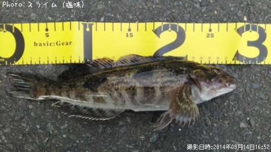 �����ʥ�