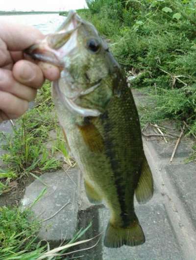 �֥�å��Х�