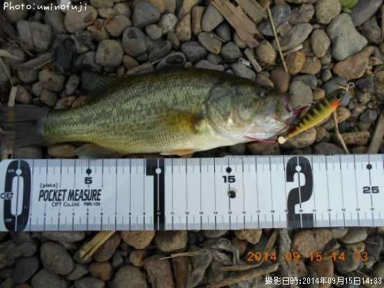 �֥�å��Х�