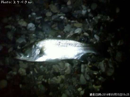 �ҥ饹����