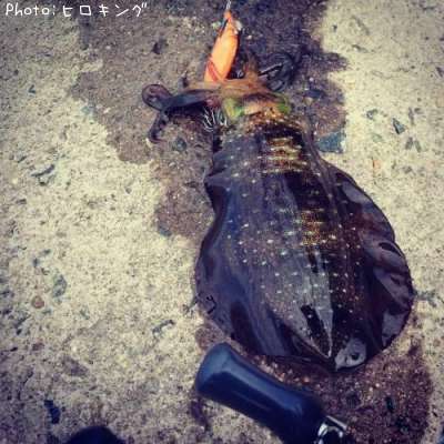 �����ꥤ��