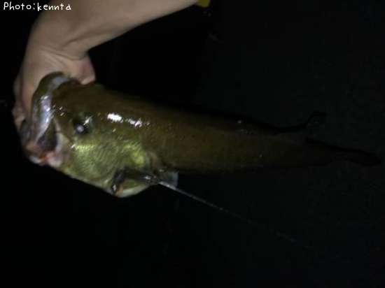 �֥�å��Х�