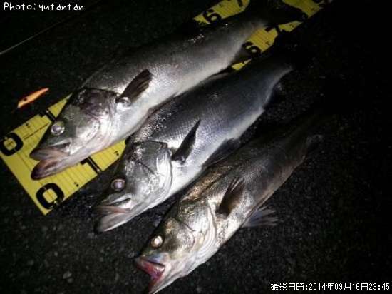 �ҥ饹����