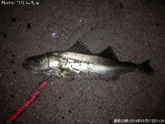 �����Х�