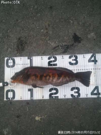 �����ʥ�