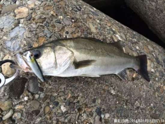 �����Х�