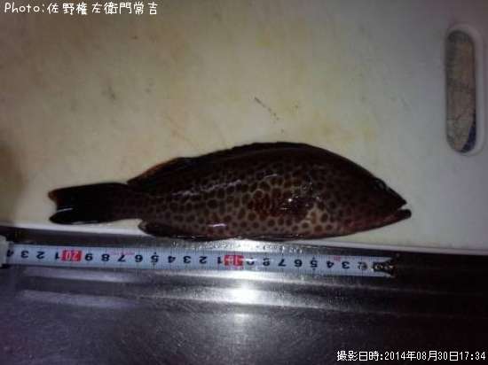 �������ϥ�