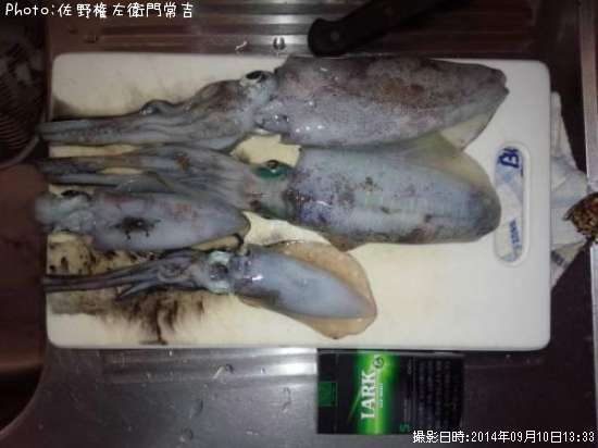 �����ꥤ��