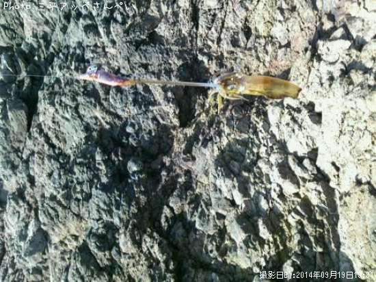 �����ꥤ��