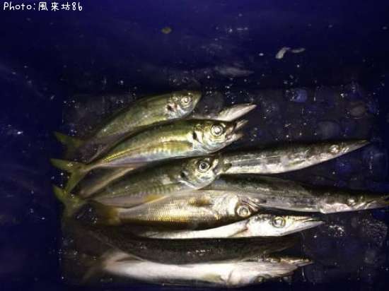 ���������ޥ������